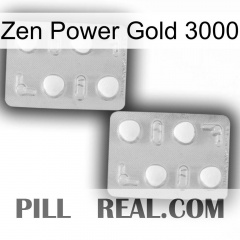 Zen Power Gold 3000 25